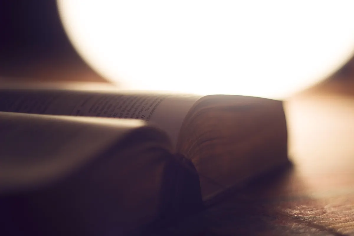 What Is a Parable? A Beginner's Guide to Jesus's Storytelling
